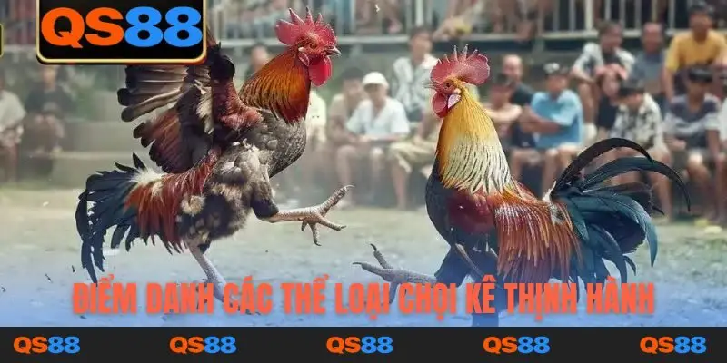 Điểm danh các thể loại chọi kê thịnh hành