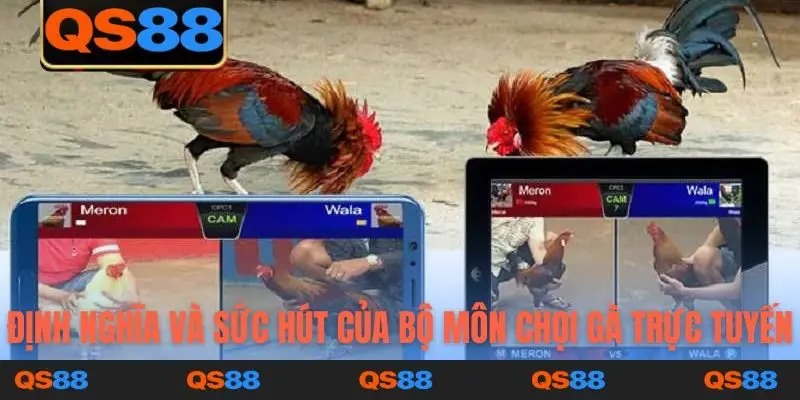 Định nghĩa và sức hút của bộ môn chọi gà trực tuyến