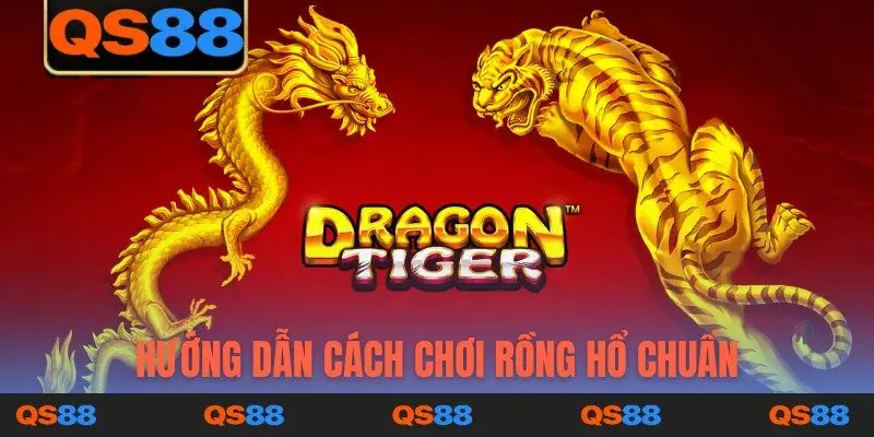 Hướng dẫn cách chơi rồng hổ chuẩn