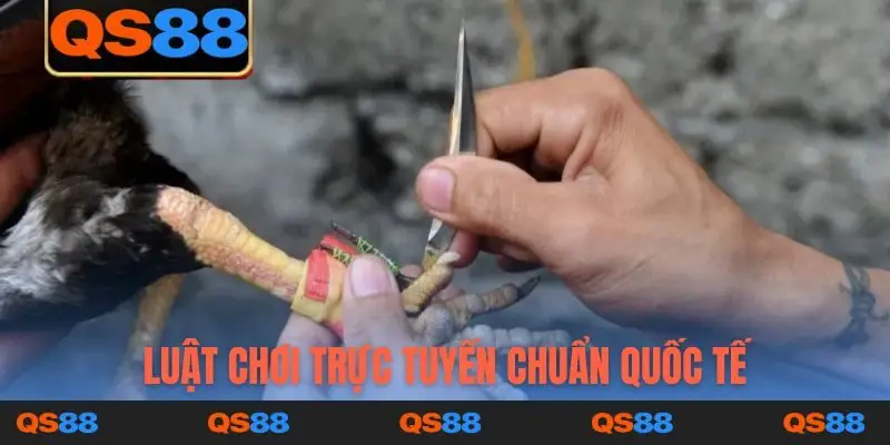 Luật chơi trực tuyến chuẩn quốc tế