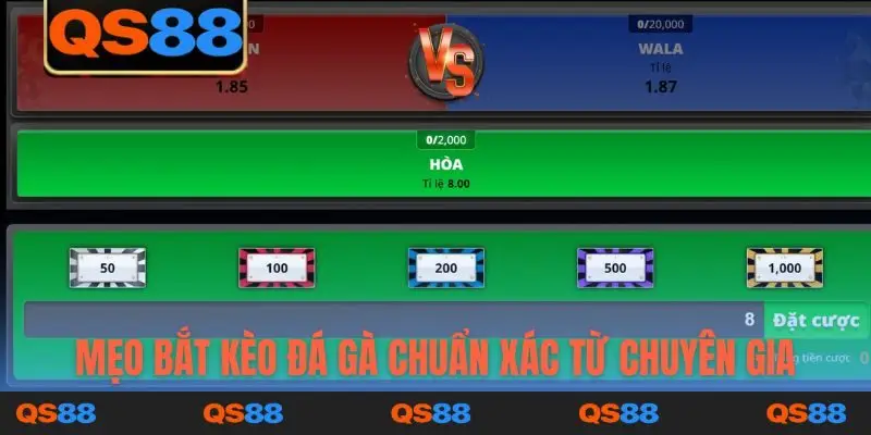 Mẹo bắt kèo đá gà chuẩn xác từ chuyên gia